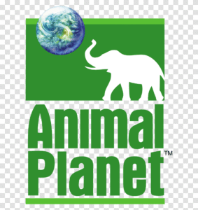 Animal Planet