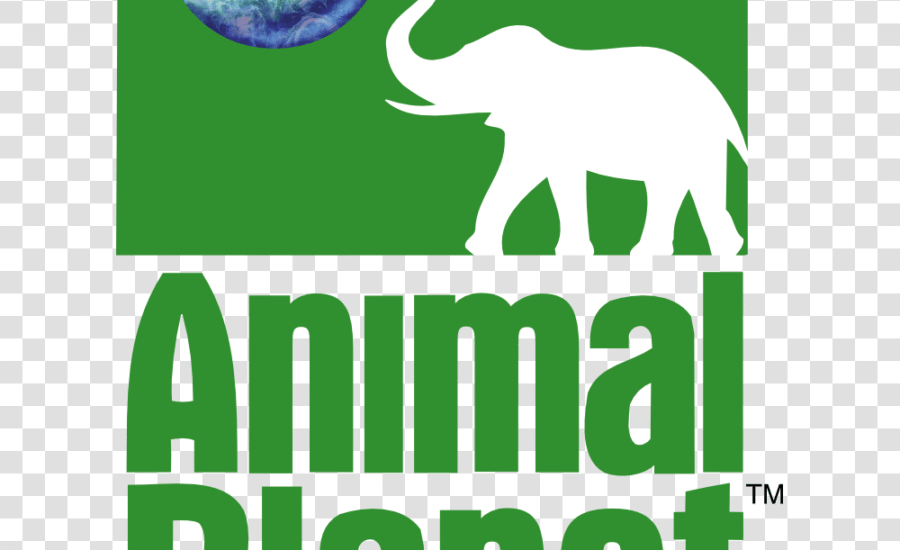 Animal Planet