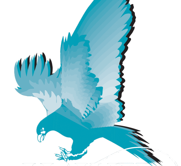 Hawk Mesurment Logo White Leters