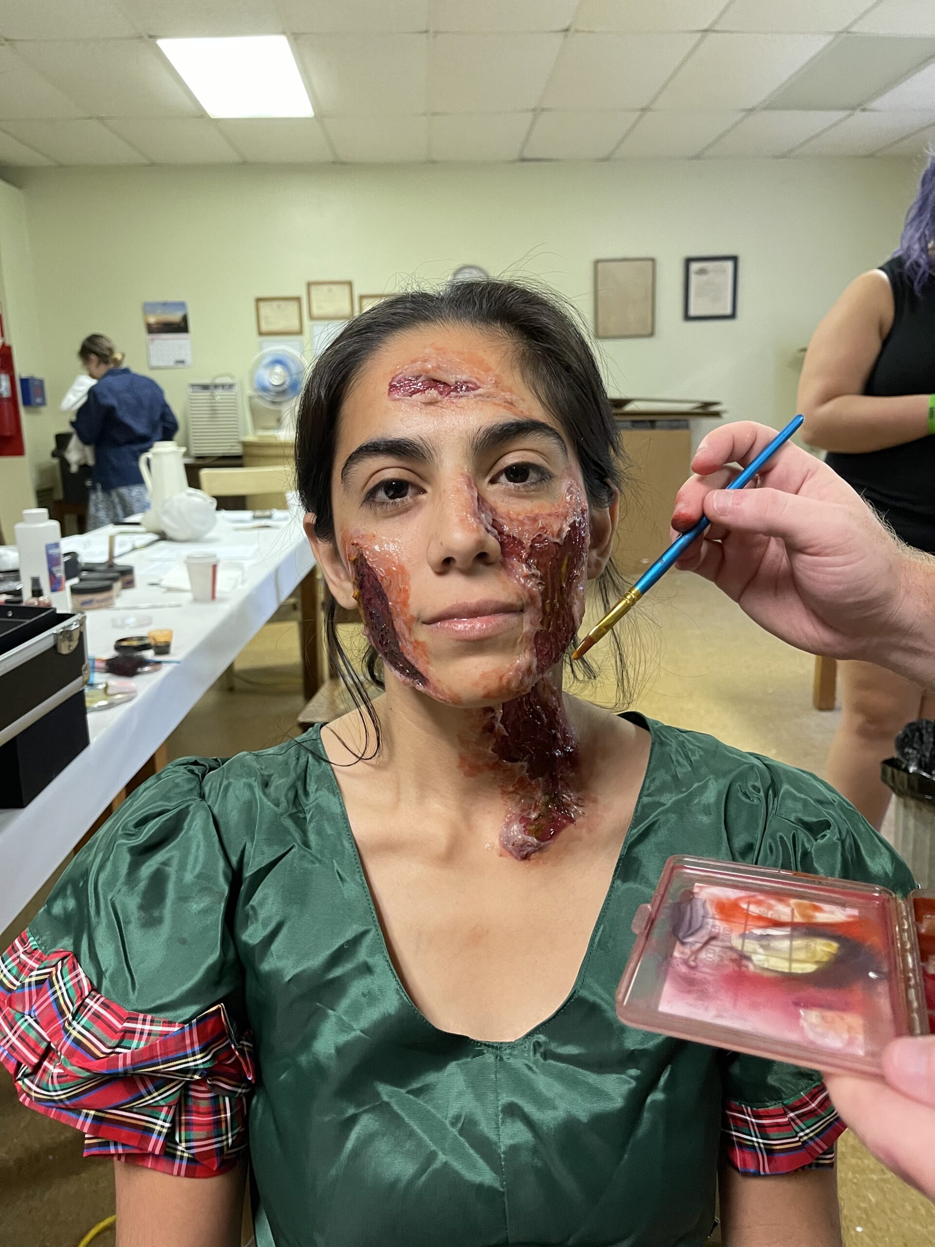 Professional camera rig