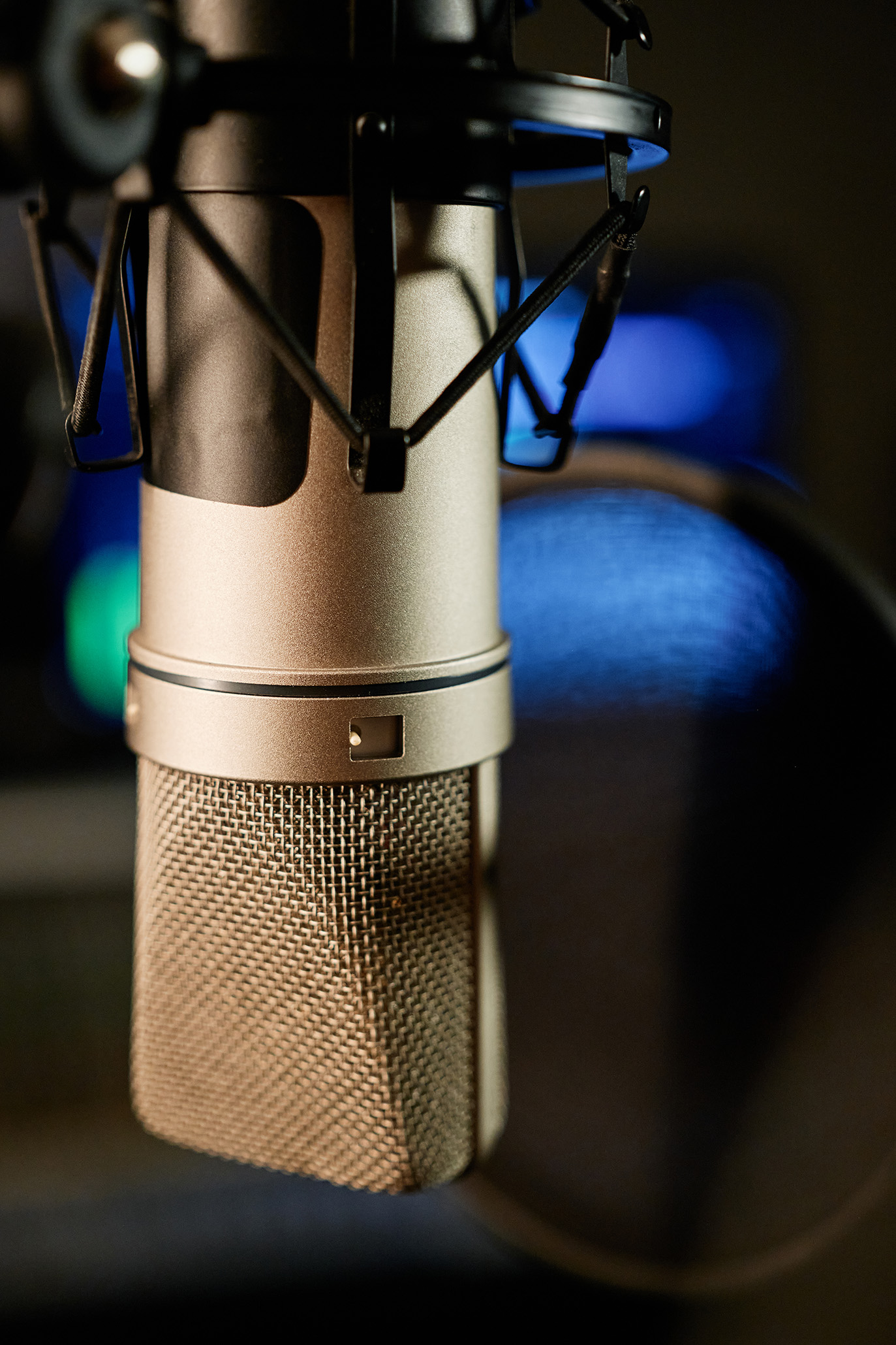 Professional Studio Microphone